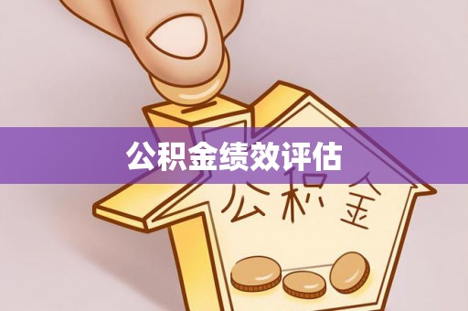 维西公积金绩效评估