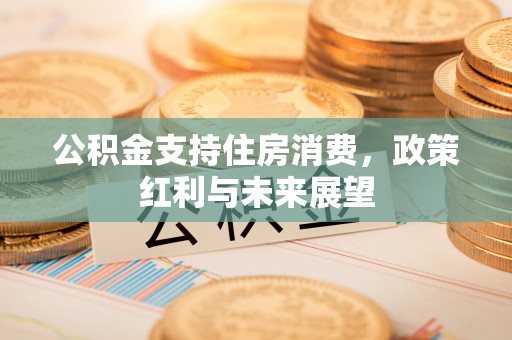 松北公积金支持住房消费，政策红利与未来展望